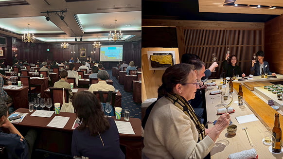 イメージ：多様なキャリアと成長の機会